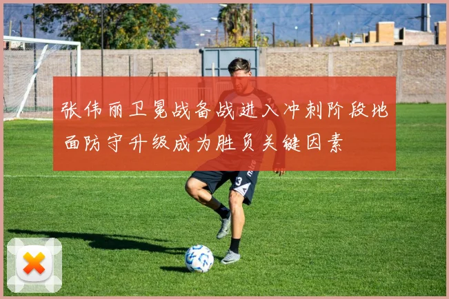 张伟丽卫冕战备战进入冲刺阶段地面防守升级成为胜负关键因素