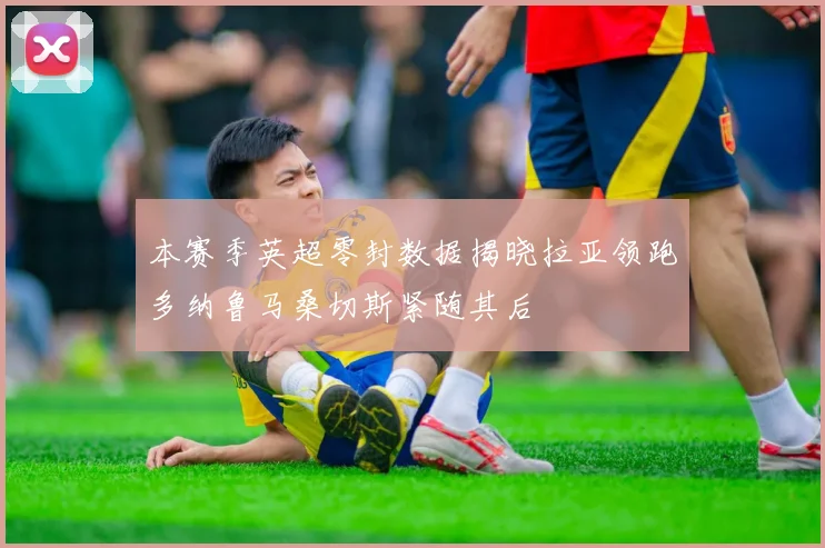 本赛季英超零封数据揭晓拉亚领跑多纳鲁马桑切斯紧随其后